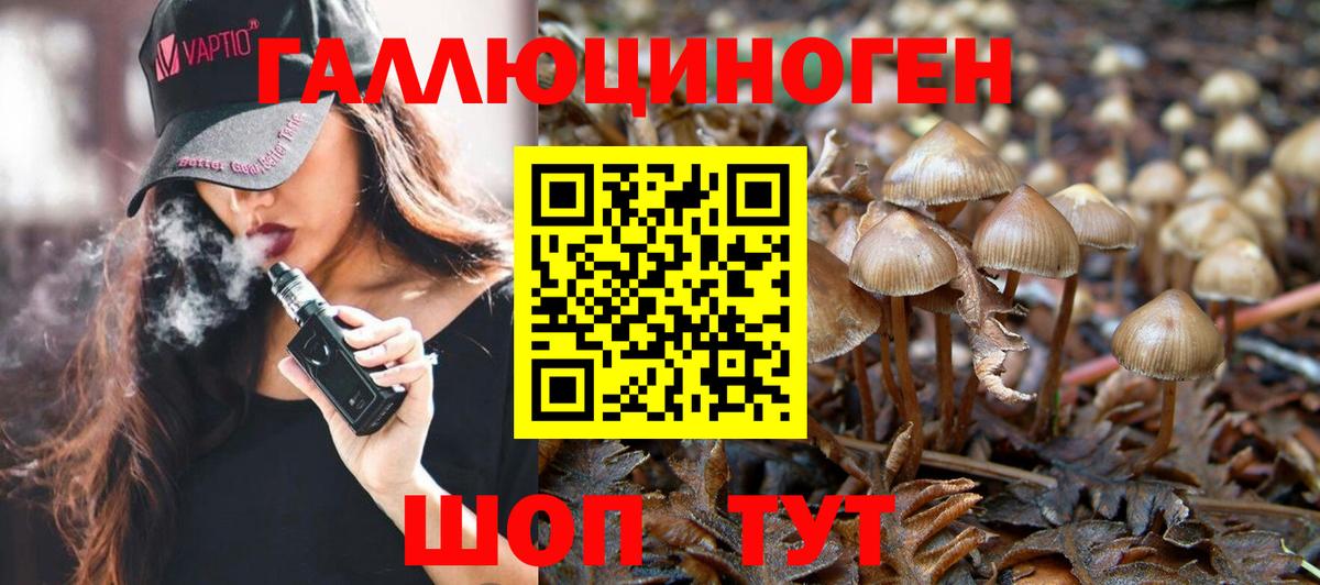 Псилоцибиновые грибы MAGIC MUSHROOMS Мелеуз